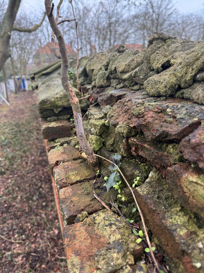 Restauratie fruitmuur Marlot, de Vink Restauratiewerken